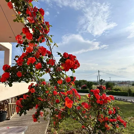 Ktima Lena 4*